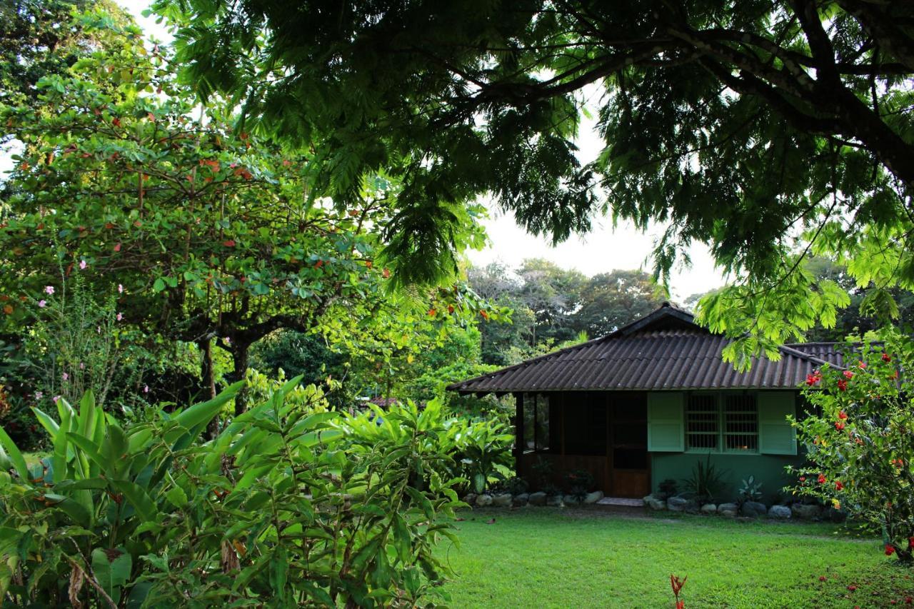 Hacienda Baru Villa Dominical Exterior photo